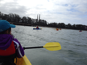 Kayaking at Elkhorn Slough