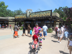 Animal Kingdom