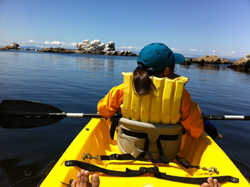 Kayaking at Monterey Bay