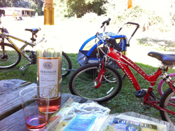 Biking at Vasona Lake Park